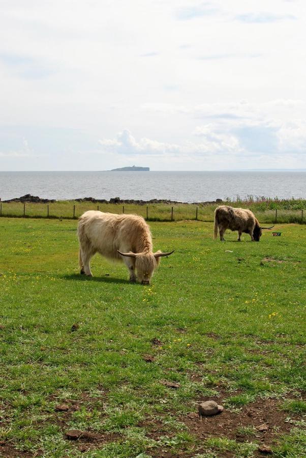 Clover Cottage Countryside Retreat With Sea Views Crail Exterior foto
