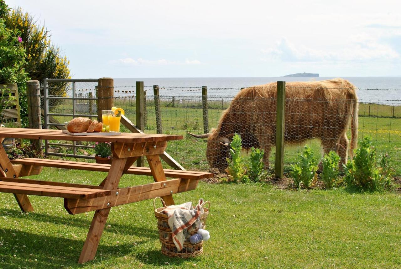 Clover Cottage Countryside Retreat With Sea Views Crail Exterior foto